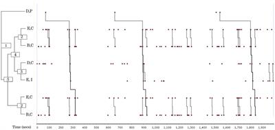 Patterns of verbal interaction in newly formed music ensembles